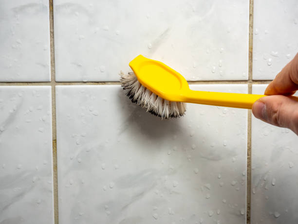 Best Basement Mold Remediation in Manahawkin, NJ