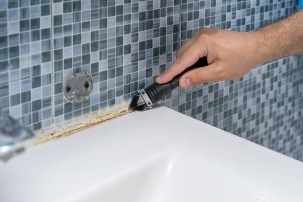 Best Mold Testing and Inspection Services in Manahawkin, NJ
